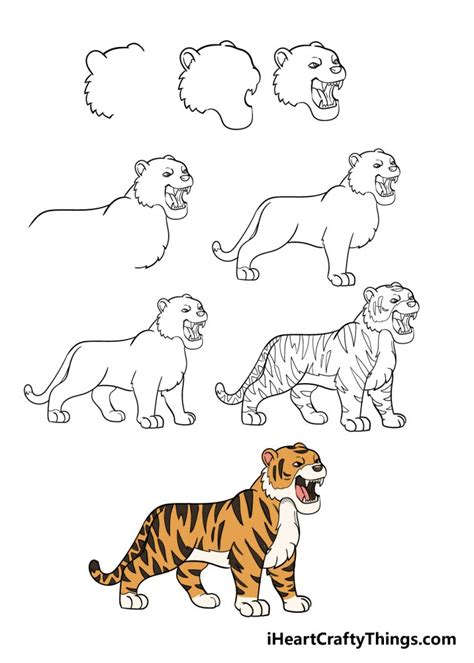 easy tiger drawing step by.